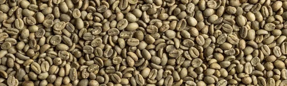 أضرار القهوة الخضراء