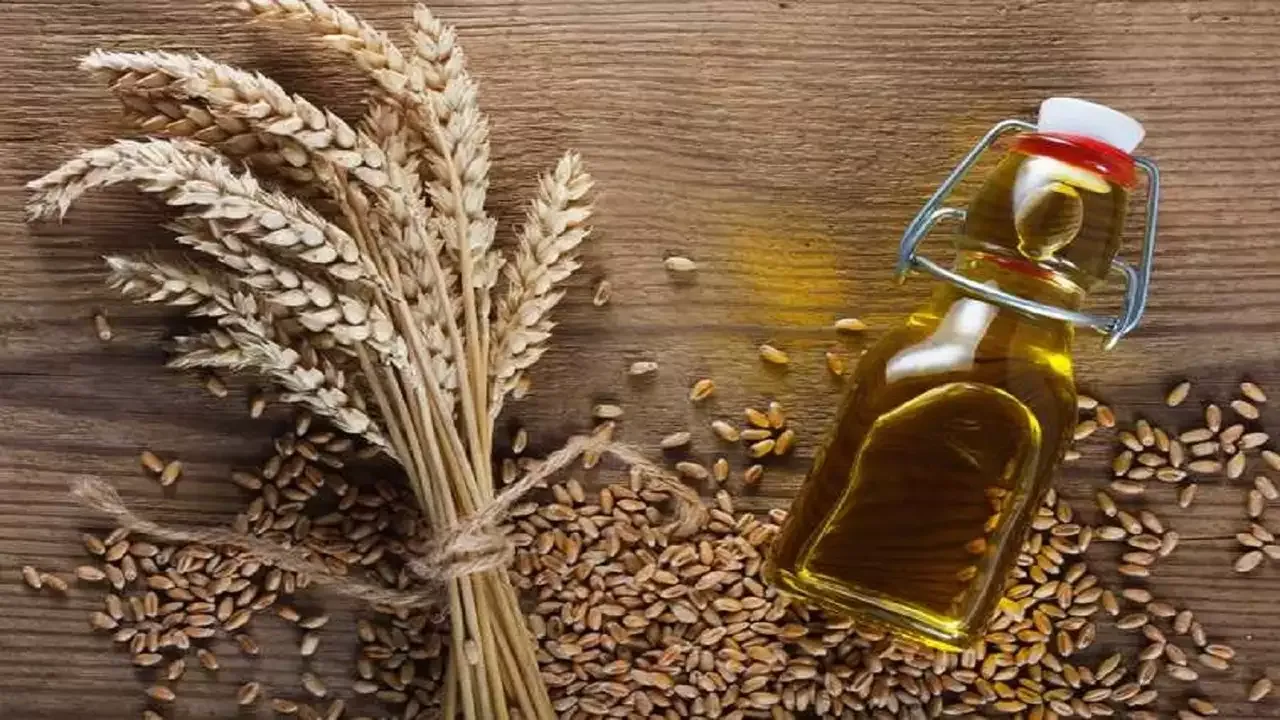 فما هي فوائد زيت جنين القمح للبشرة ؟