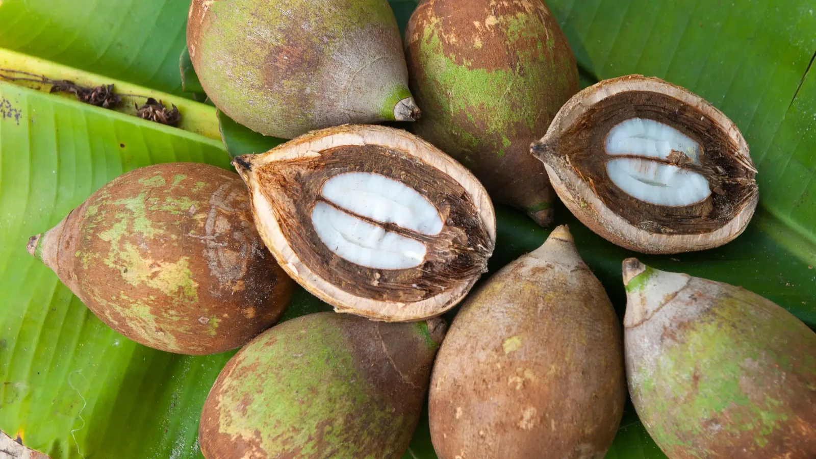 فوائد زيت الباباسو الصحية