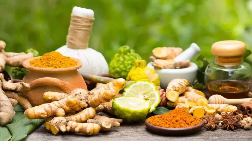 أفضل 5 أعشاب أيورفيدا وفوائدها الصحية