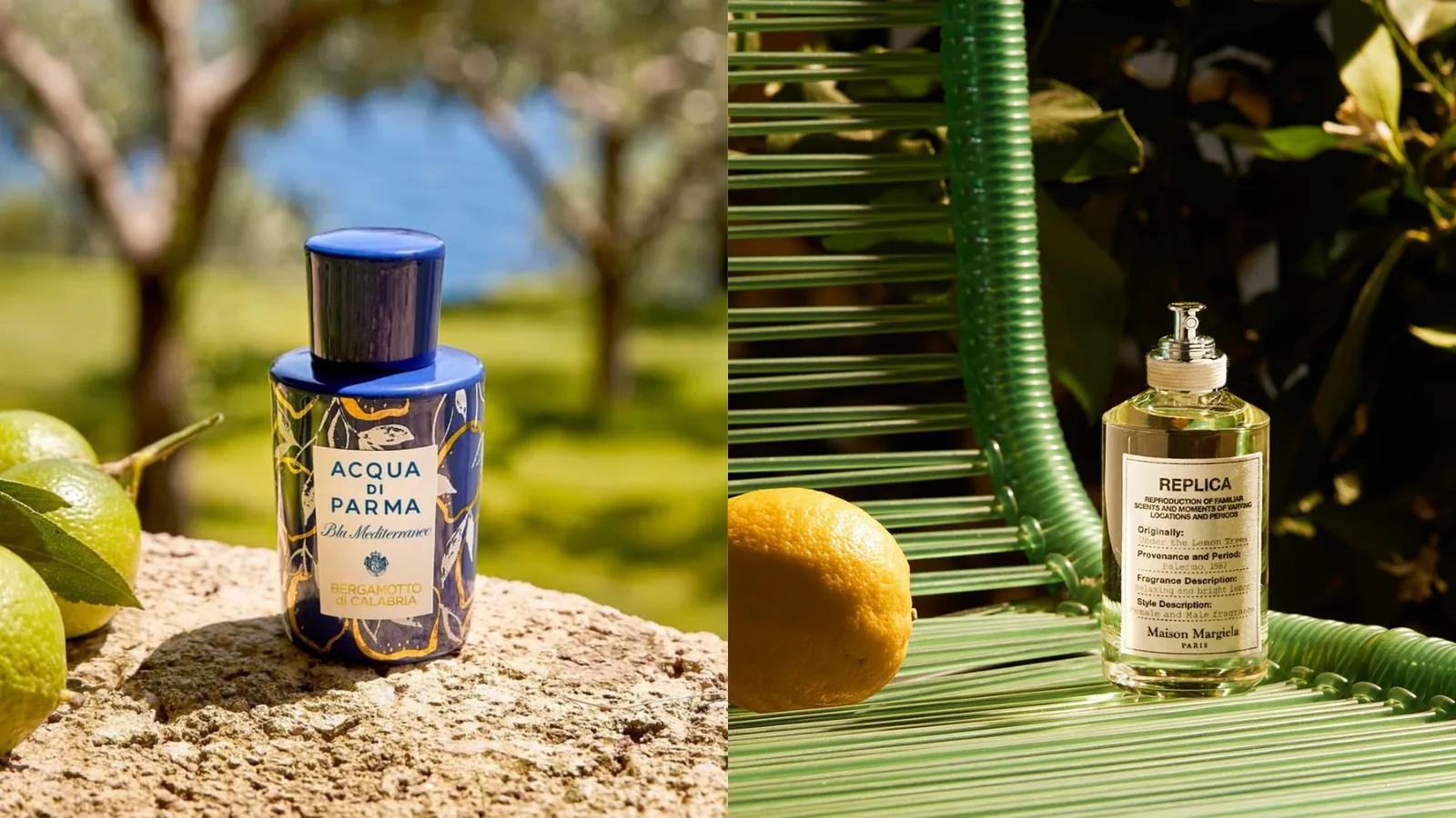 5 عطور منعشة برائحة الحمضيات