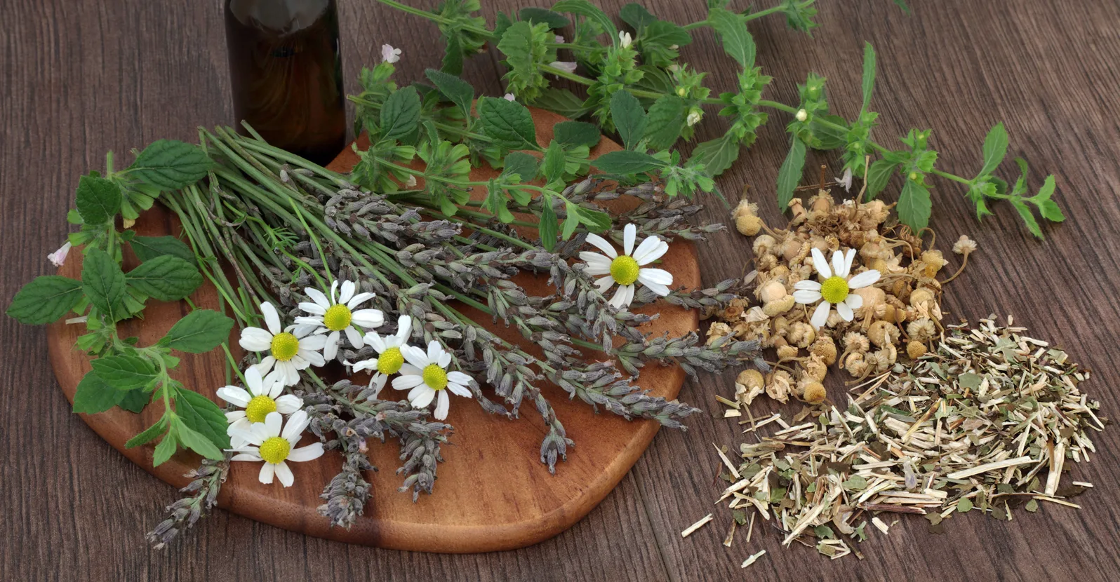 4 Herbs to Help You Fall Asleep and Stay Asleep