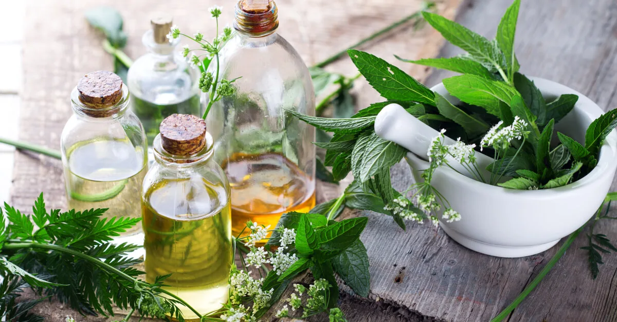 7 أعشاب طبيعية لتعزيز صحة الكبد