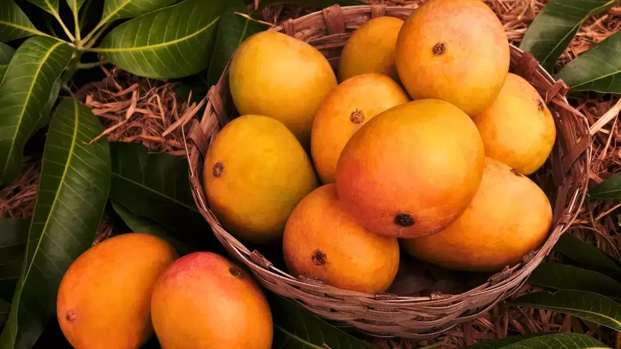 mango