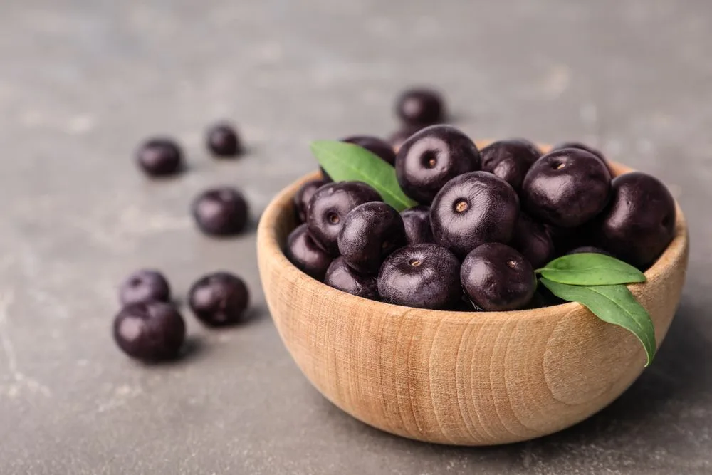 ما هي فوائد حبوب اساي بيري Acai Berry ؟