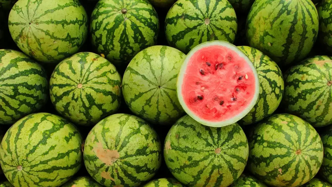 ما هي فوائد قشر البطيخ؟