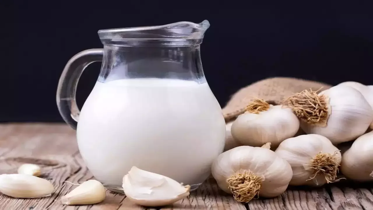 4 فوائد صحية لتناول الثوم مع الحليب