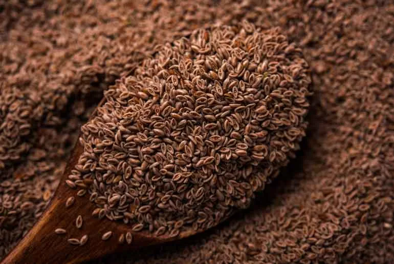 The nutritional importance of Isabgol in our Daily Diet