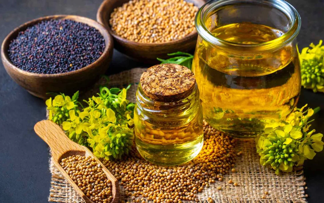 زيت الخردل: أهم الفوائد الصحية