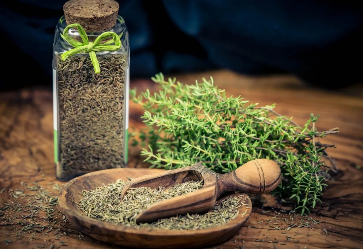 فوائد الزعتر الصحية والجمالية