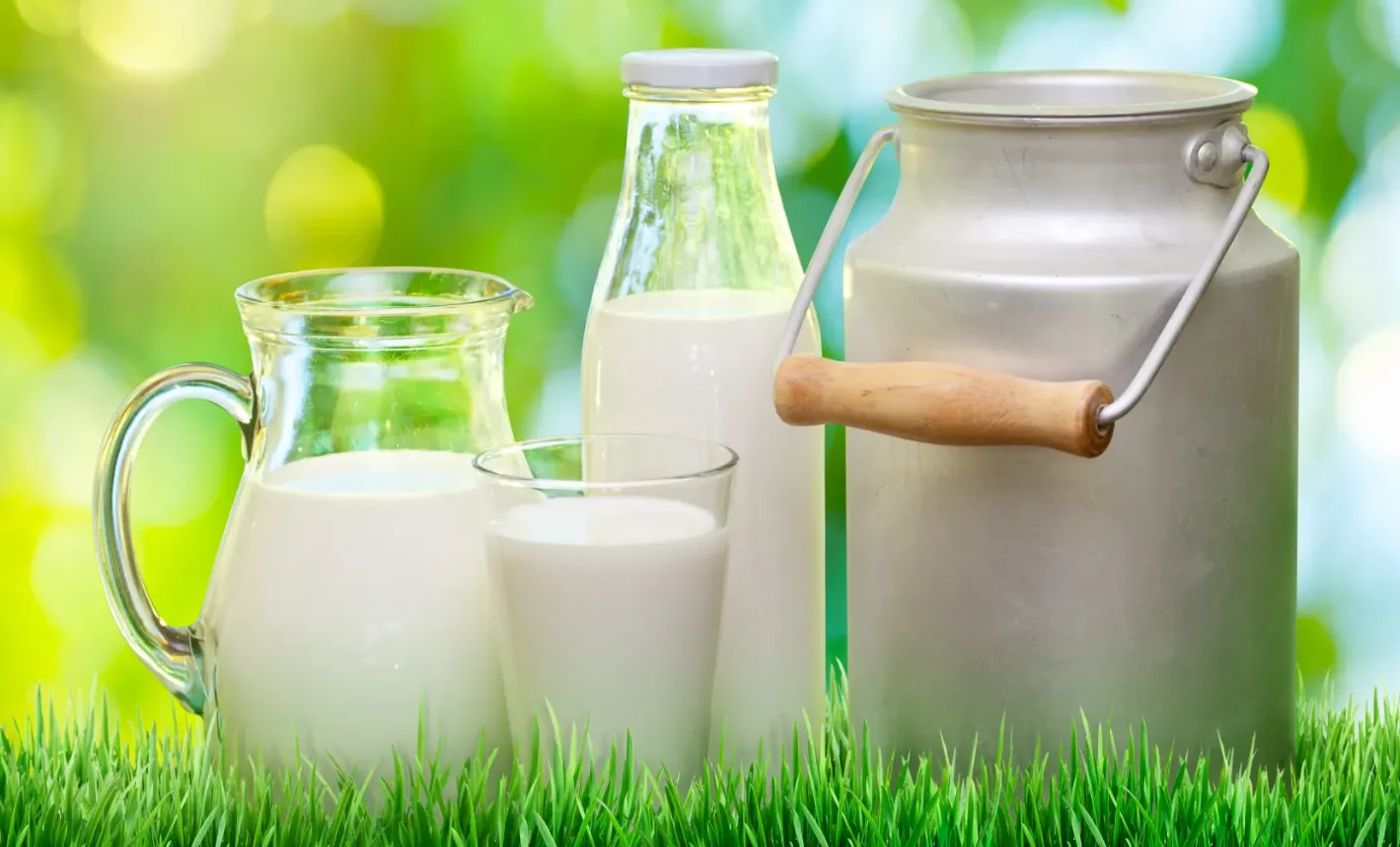7 مشروبات غنية بالبروتين