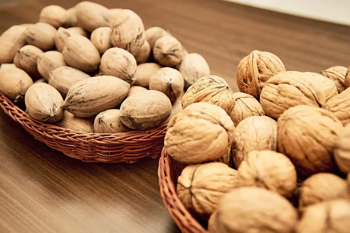 الفوائد الصحية للجوز
