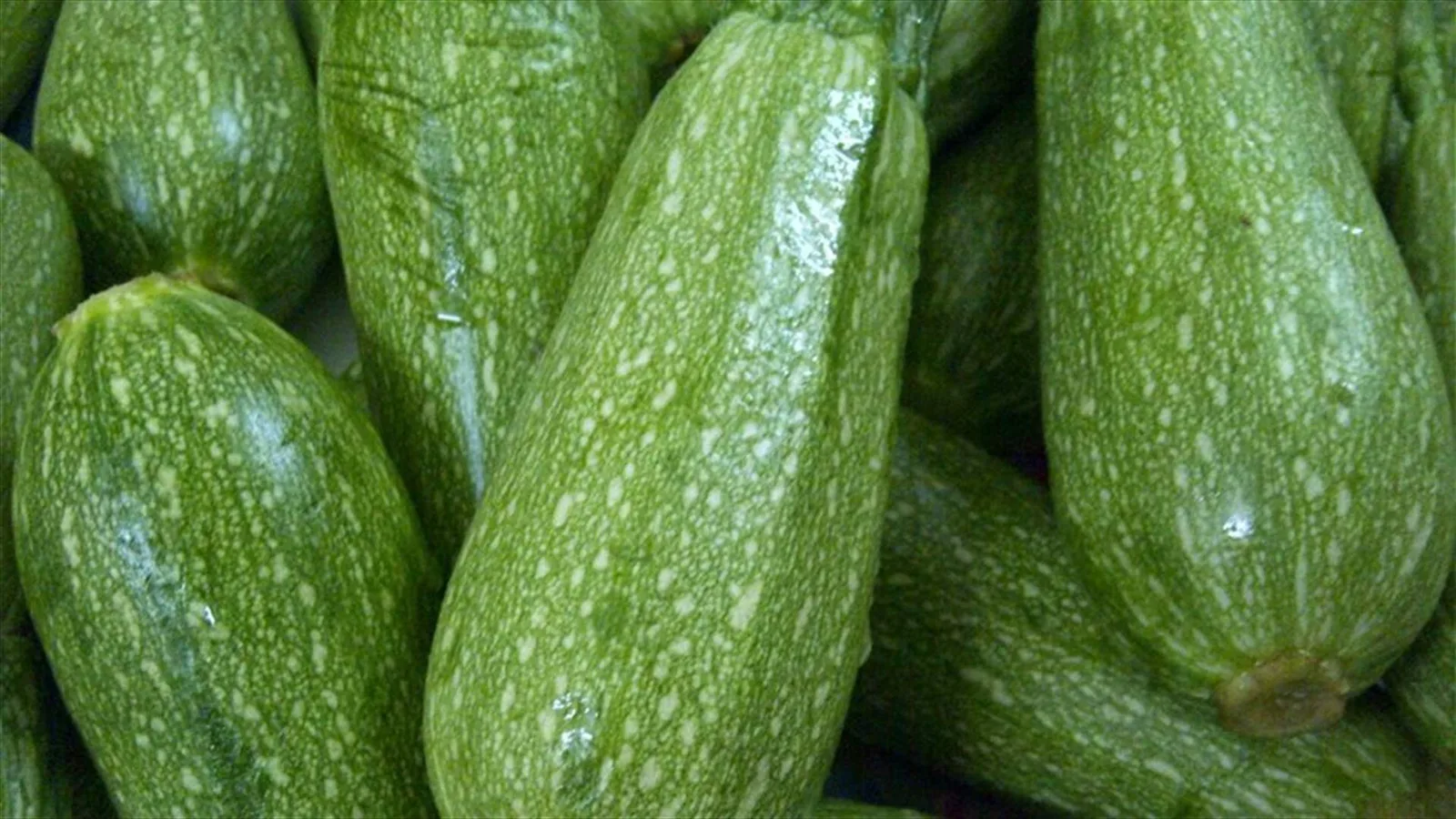 5 فوائد صحية للكوسا