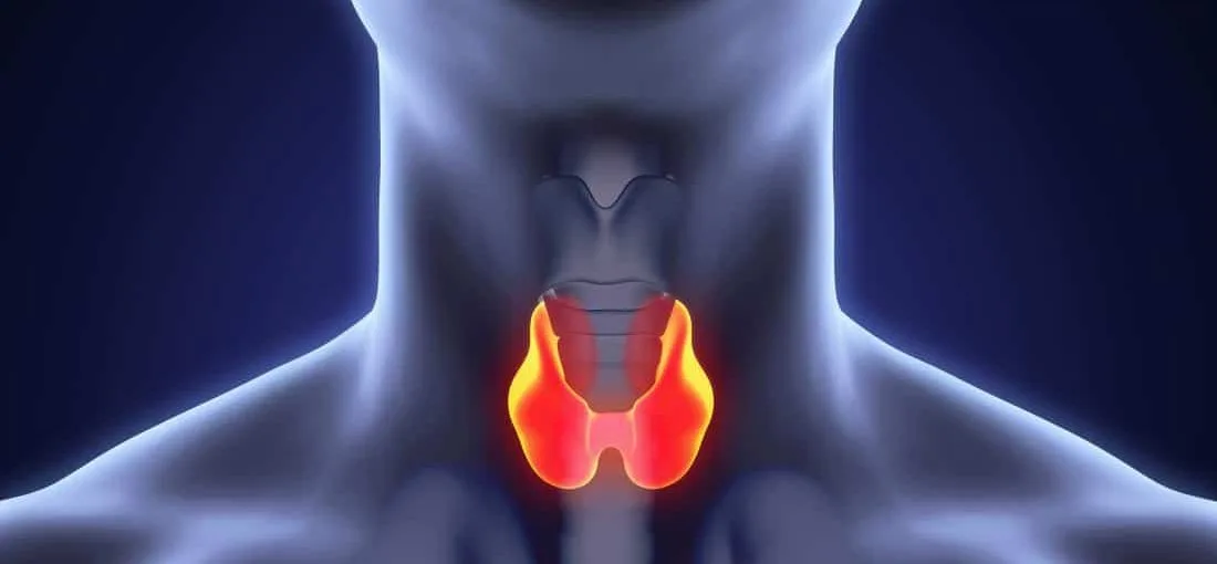 أعراض الغدة الدرقية عند النساء