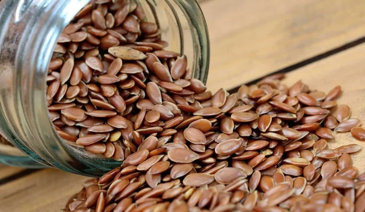 8 فوائد لبذور الكتان