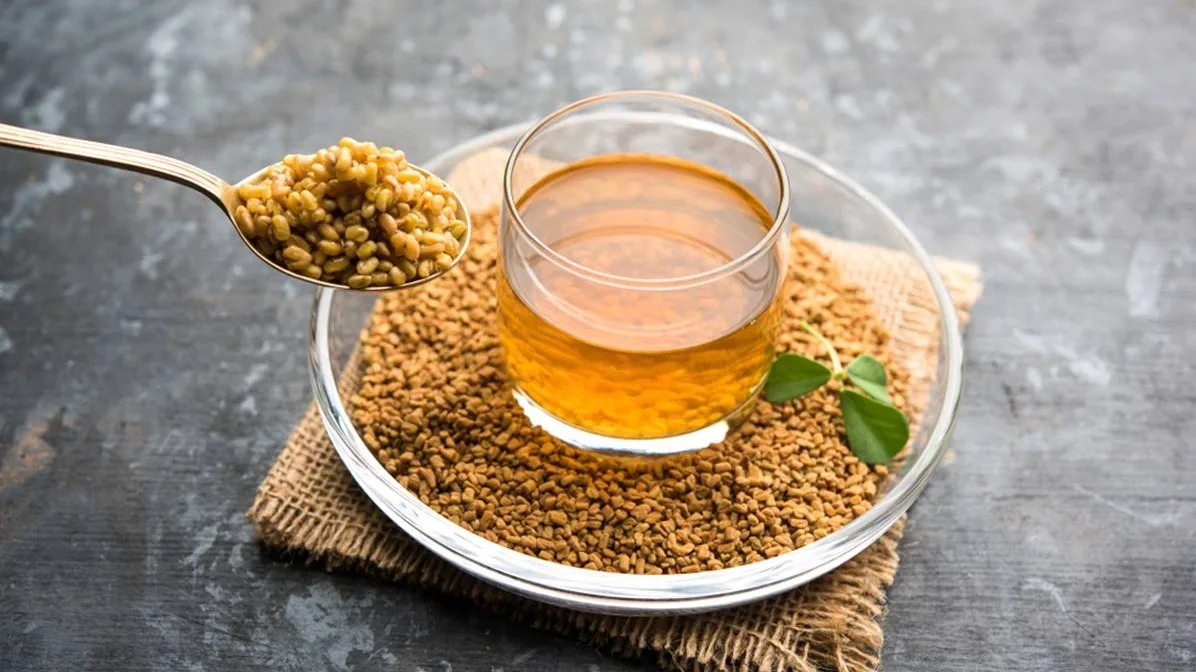 الحلبة