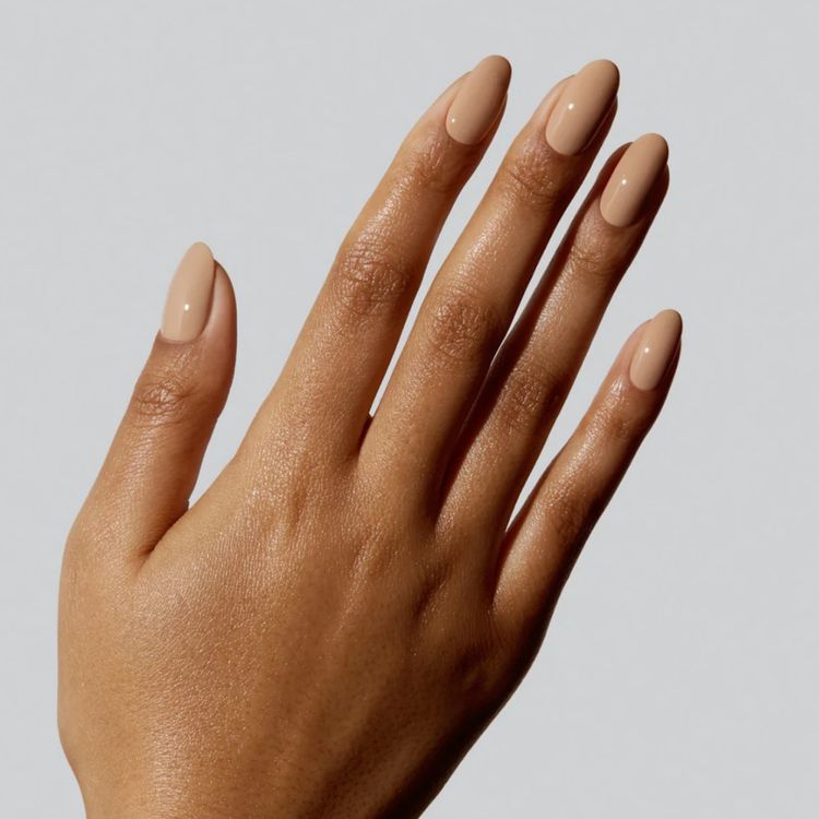  البرتقالي المشمشي