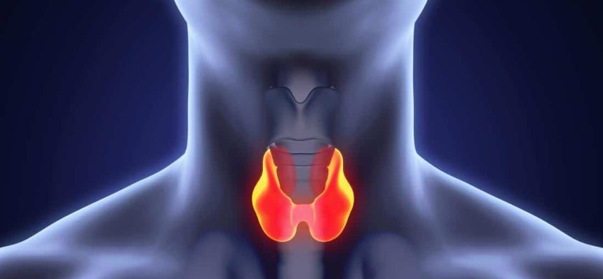 الغدة الدرقية